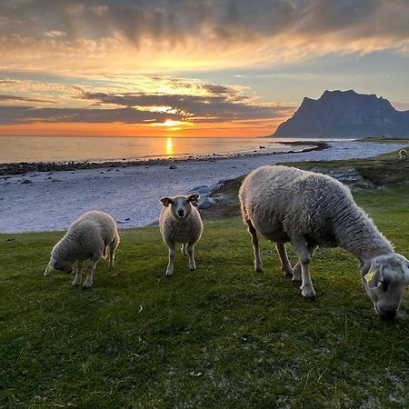 Fisherman'S Cabin, Lofoten - 24 Bardbua Ballstad Ngoại thất bức ảnh